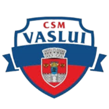 CSM华斯雷